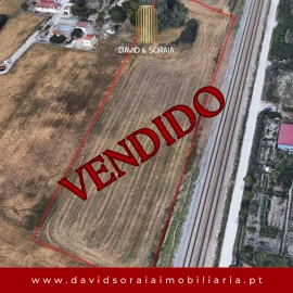 Terreno para Venda em Pinhal Novo