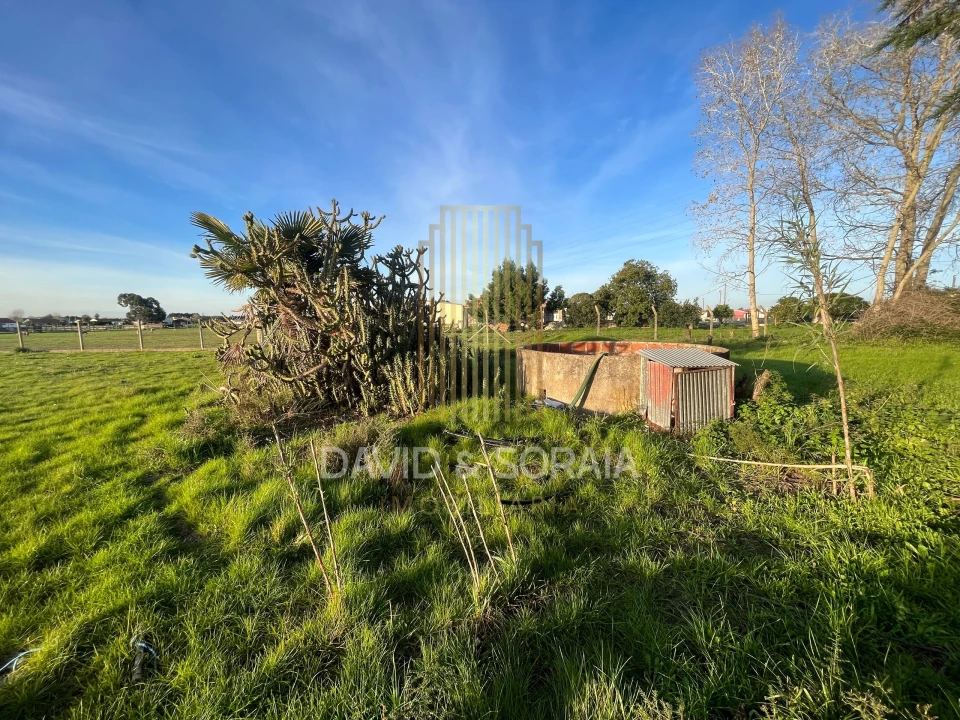 Terreno para Venda em Pinhal Novo Foto 3