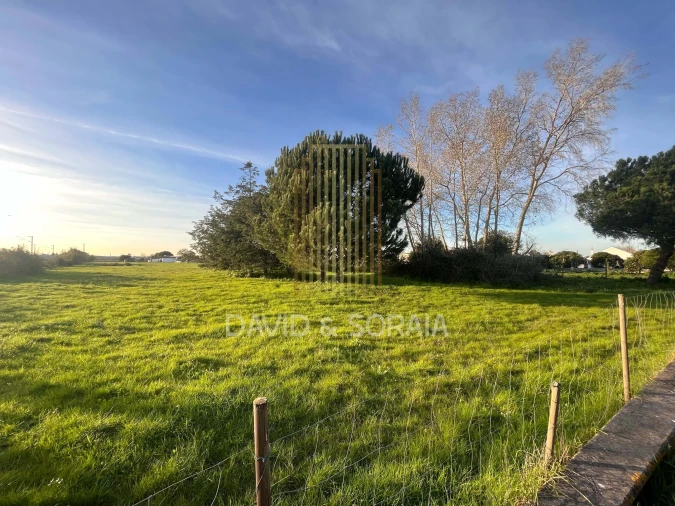 Terreno para Venda em Pinhal Novo Foto 7