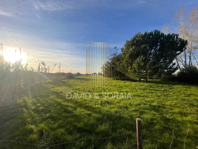 Terreno para Venda em Pinhal Novo Foto 6