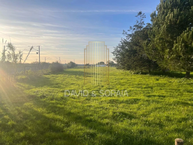Terreno para Venda em Pinhal Novo Foto 8