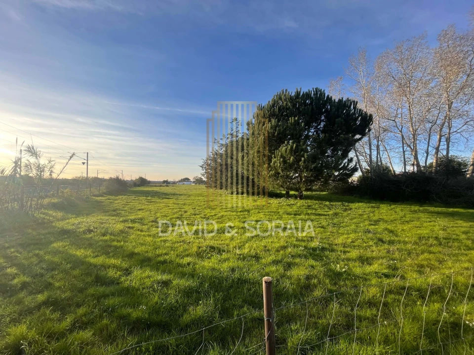 Terreno para Venda em Pinhal Novo Foto 10