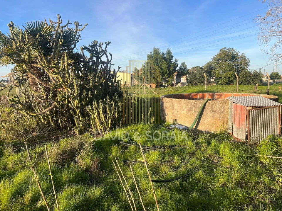 Terreno para Venda em Pinhal Novo Foto 4