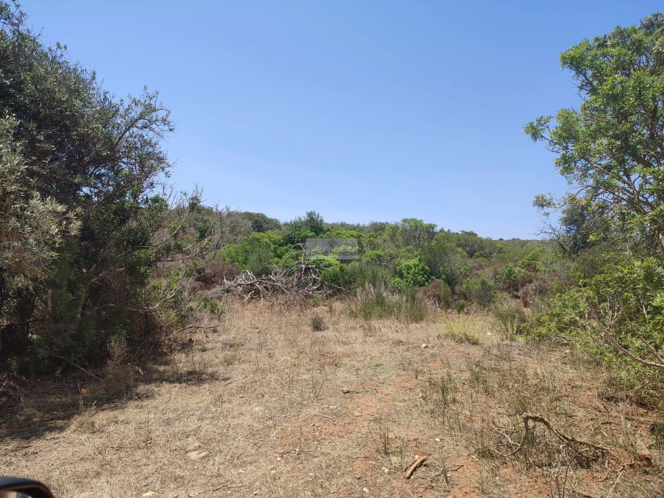 Terreno para Venda em Lagos (São Sebastião e Santa Maria) Foto 5