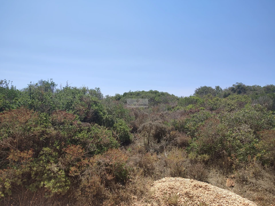 Terreno para Venda em Lagos (São Sebastião e Santa Maria) Foto 3