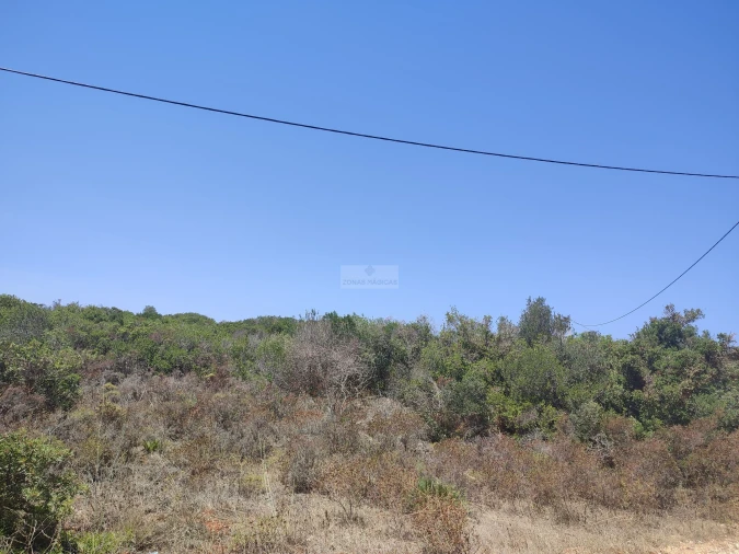 Terreno para Venda em Lagos (São Sebastião e Santa Maria) Foto 4