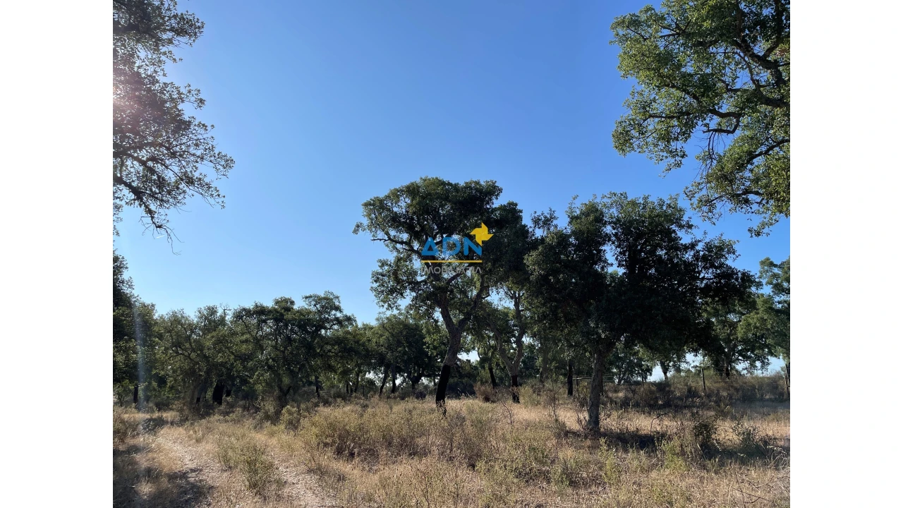 Terreno para Venda em Castelo Branco Foto 11