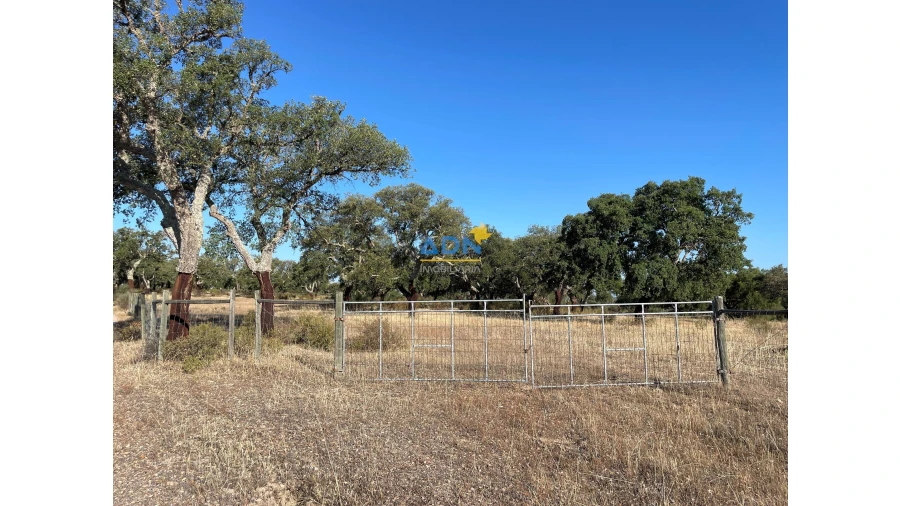 Terreno para Venda em Castelo Branco Foto 2