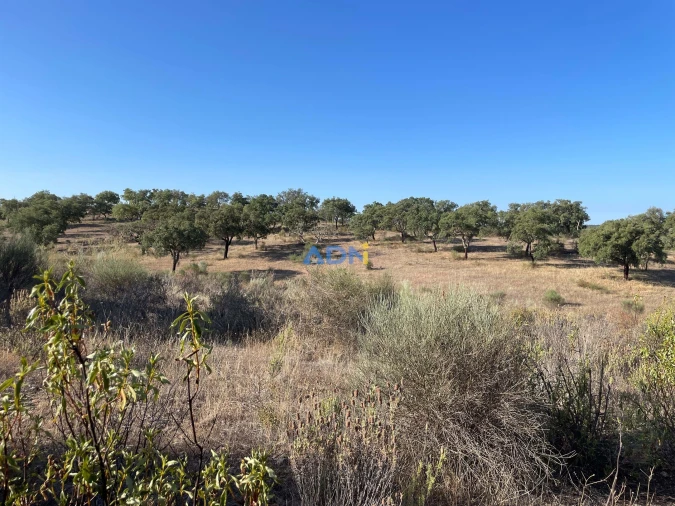 Terreno para Venda em Castelo Branco Foto 6