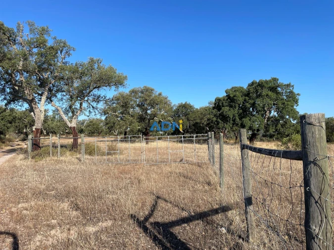 Terreno para Venda em Castelo Branco