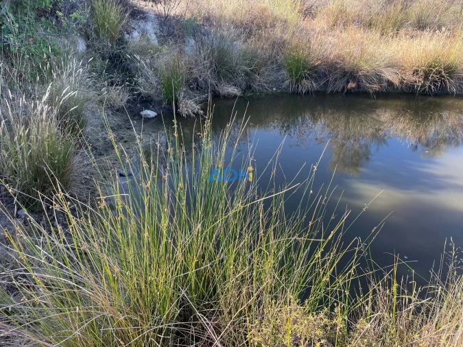 Terreno para Venda em Castelo Branco Foto 7