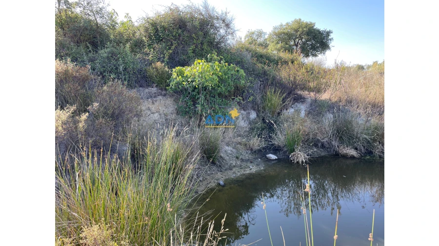 Terreno para Venda em Castelo Branco Foto 9