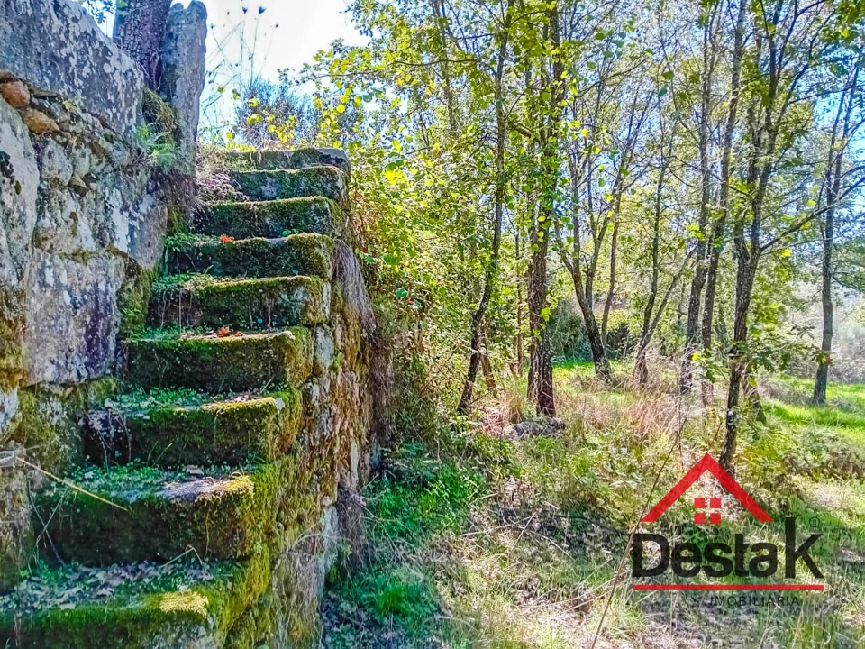 Quinta T0 para Venda em Gouveia (São Pedro e São Julião) Foto 1