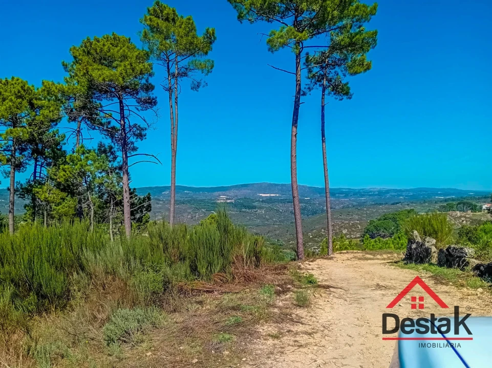Quinta T0 para Venda em Gouveia (São Pedro e São Julião) Foto 18