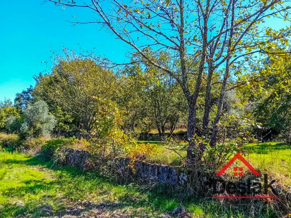 Quinta T0 para Venda em Gouveia (São Pedro e São Julião) Foto 8