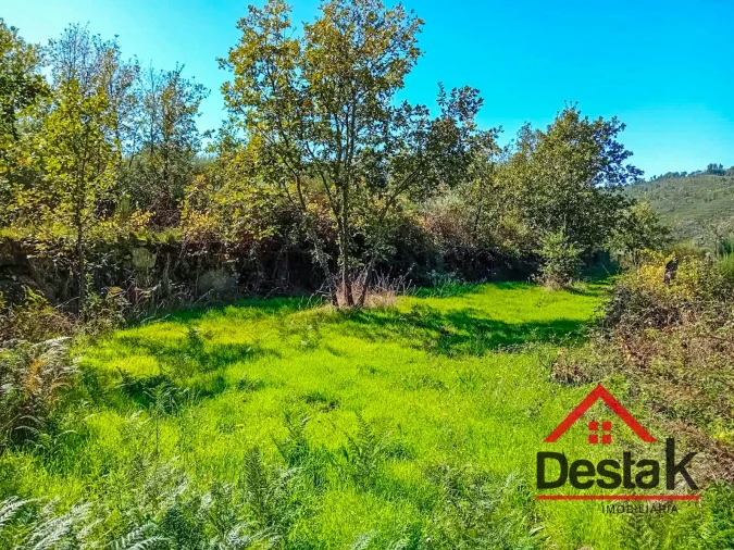 Quinta T0 para Venda em Gouveia (São Pedro e São Julião) Foto 7