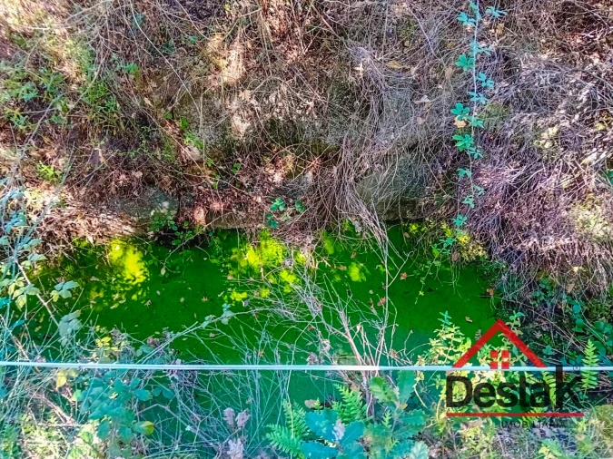 Quinta T0 para Venda em Gouveia (São Pedro e São Julião) Foto 4