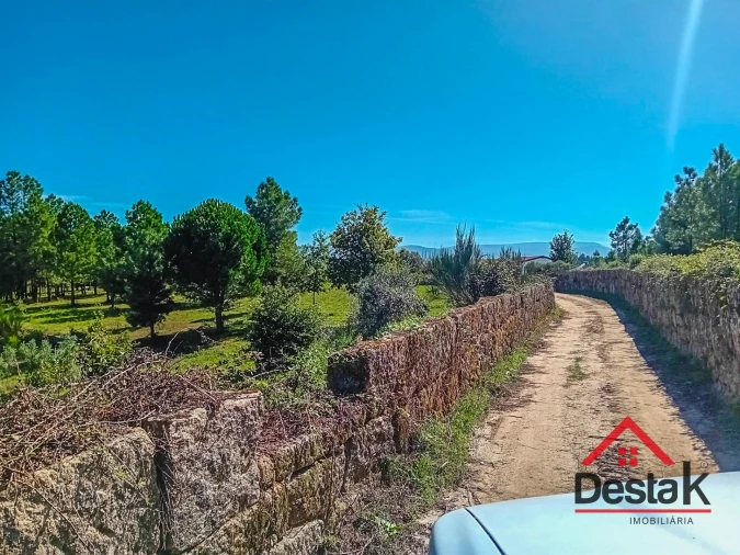 Quinta T0 para Venda em Gouveia (São Pedro e São Julião) Foto 20