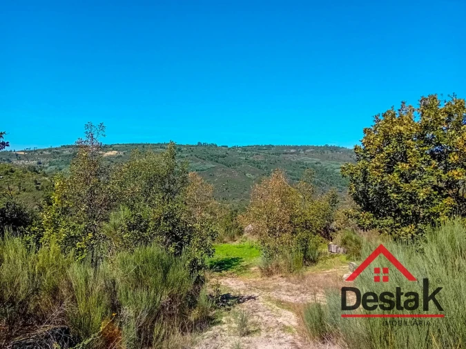 Quinta T0 para Venda em Gouveia (São Pedro e São Julião) Foto 12