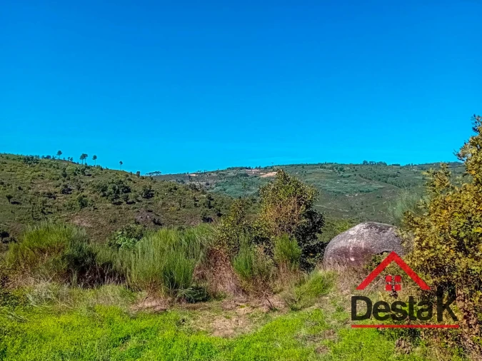 Quinta T0 para Venda em Gouveia (São Pedro e São Julião) Foto 10