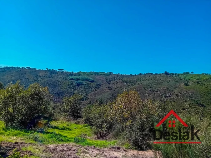 Quinta T0 para Venda em Gouveia (São Pedro e São Julião) Foto 17