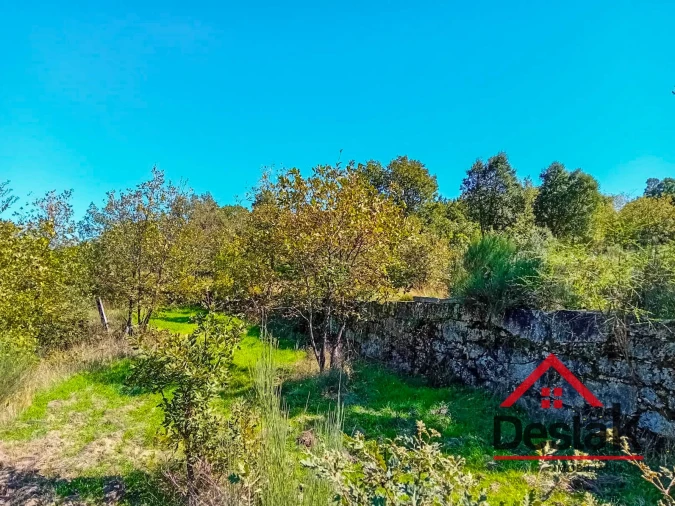 Quinta T0 para Venda em Gouveia (São Pedro e São Julião) Foto 9