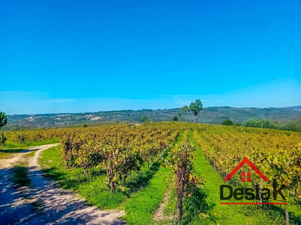 Quinta T0 para Venda em Gouveia (São Pedro e São Julião) Foto 2