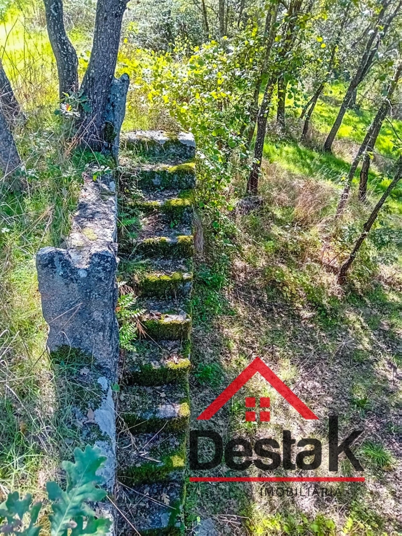 Quinta T0 para Venda em Gouveia (São Pedro e São Julião) Foto 19