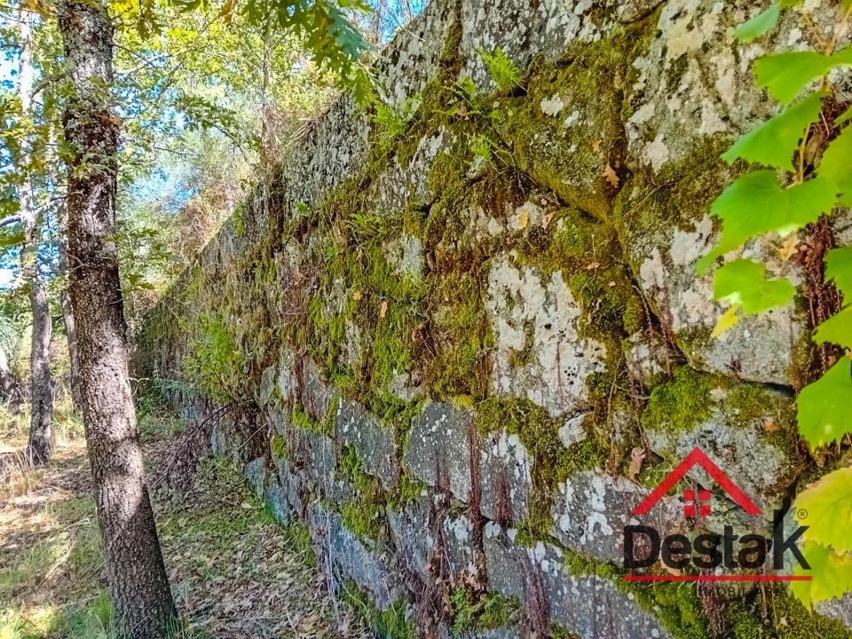 Quinta T0 para Venda em Gouveia (São Pedro e São Julião) Foto 13