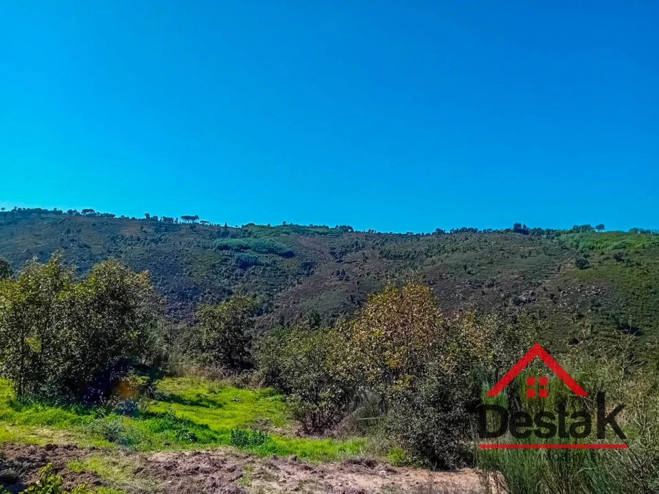 Quinta T0 para Venda em Gouveia (São Pedro e São Julião) Foto 17