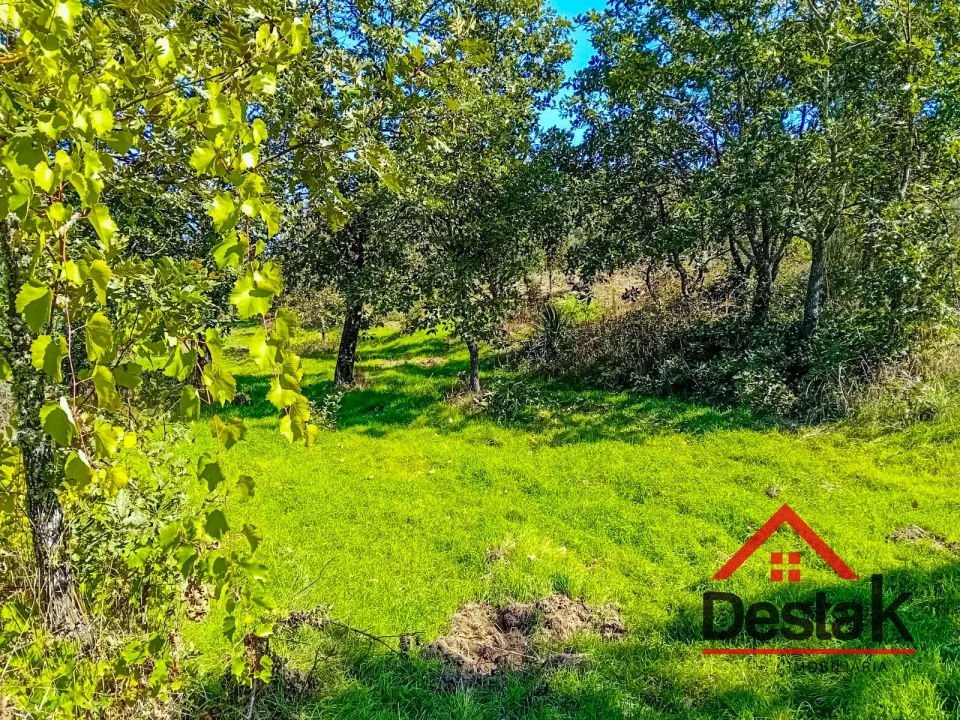 Quinta T0 para Venda em Gouveia (São Pedro e São Julião) Foto 14