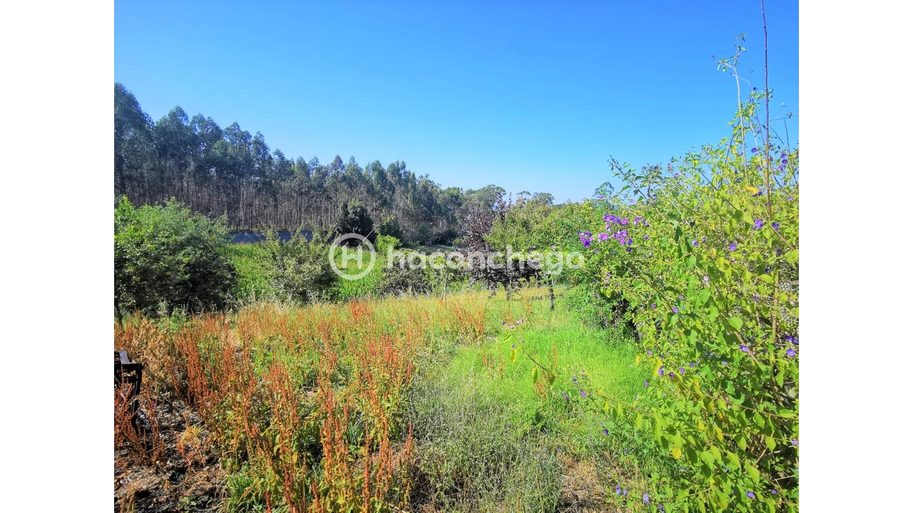 Moradia T3 para Venda em Balazar Foto 11