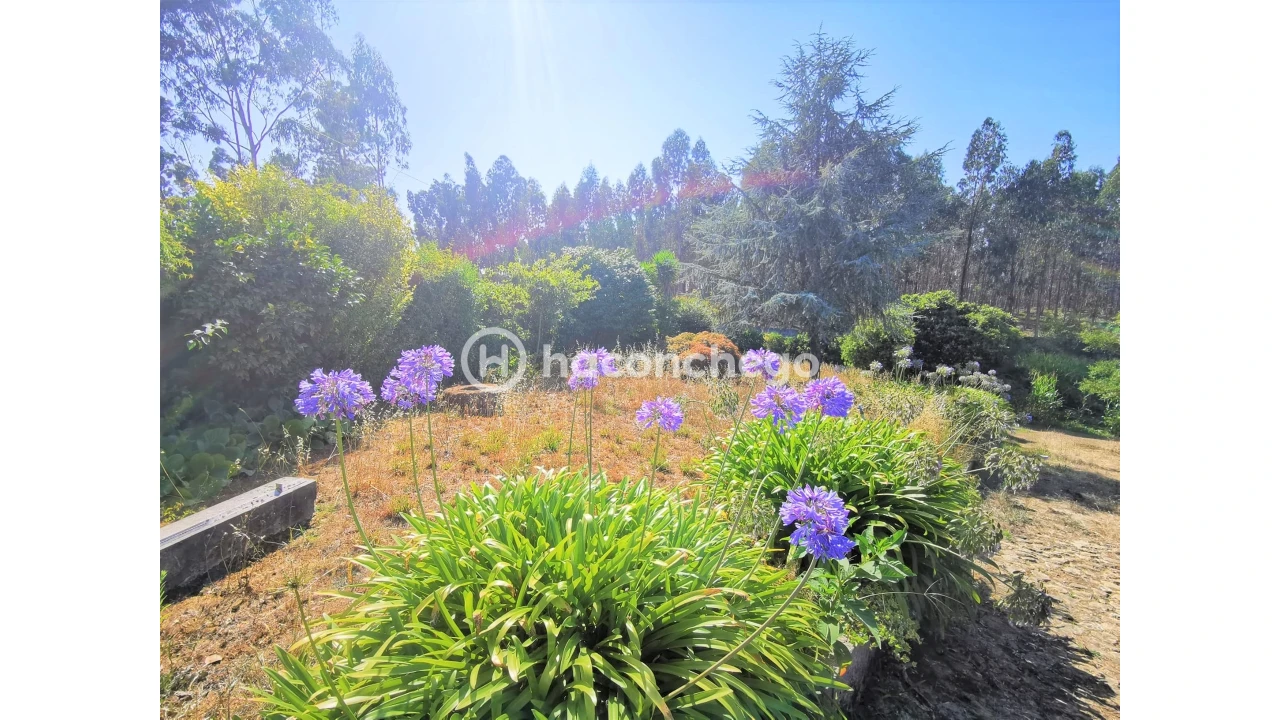 Moradia T3 para Venda em Balazar Foto 13