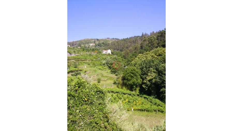 Moradia T0 para Venda em Vila e Roussas Foto 4