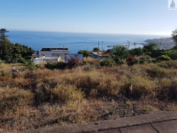 Terreno para Venda em Funchal (Santa Maria Maior)
