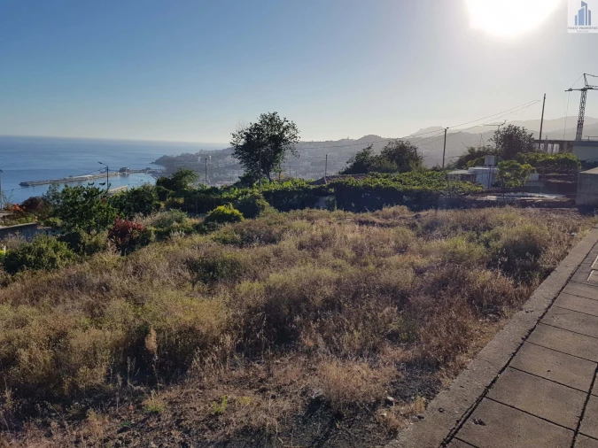 Terreno para Venda em Funchal (Santa Maria Maior) Foto 10