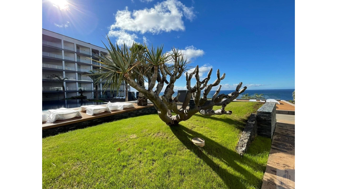 Apartamento T2 para Venda em São Martinho Foto 20