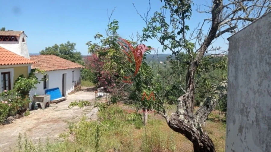 Moradia T3 para Venda em Aldeia do Mato e Souto Foto 15