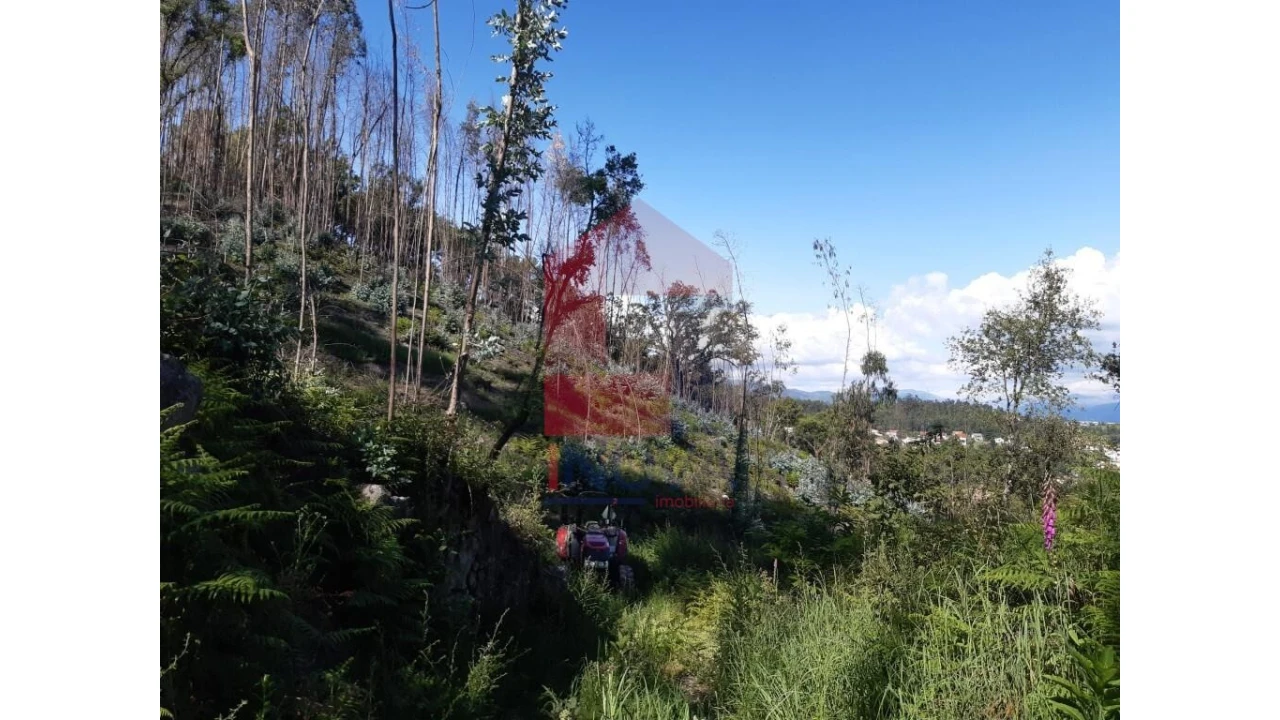 Terreno para Venda em Escariz (São Mamede) e Escariz (São Martinho) Foto 10