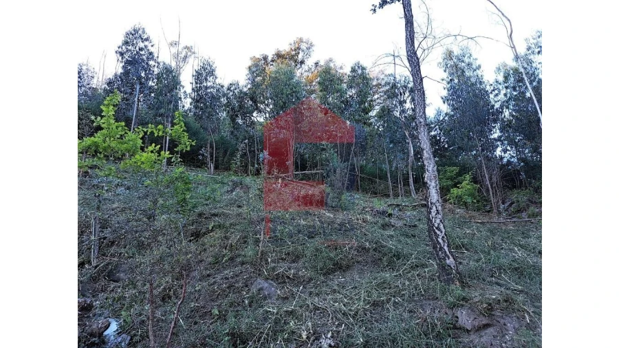 Terreno para Venda em Escariz (São Mamede) e Escariz (São Martinho) Foto 3