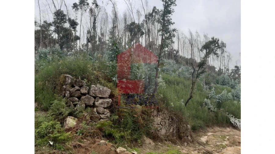 Terreno para Venda em Escariz (São Mamede) e Escariz (São Martinho) Foto 11