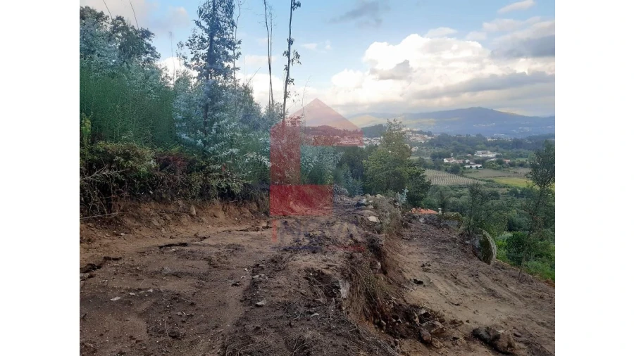 Terreno para Venda em Escariz (São Mamede) e Escariz (São Martinho) Foto 8