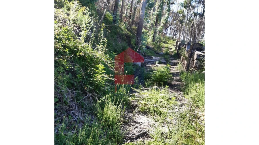 Terreno para Venda em Escariz (São Mamede) e Escariz (São Martinho) Foto 9
