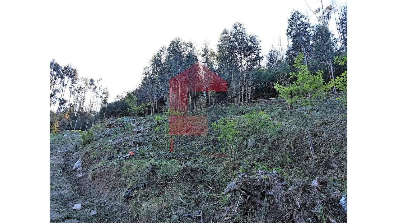Terreno para Venda em Escariz (São Mamede) e Escariz (São Martinho) Foto 4
