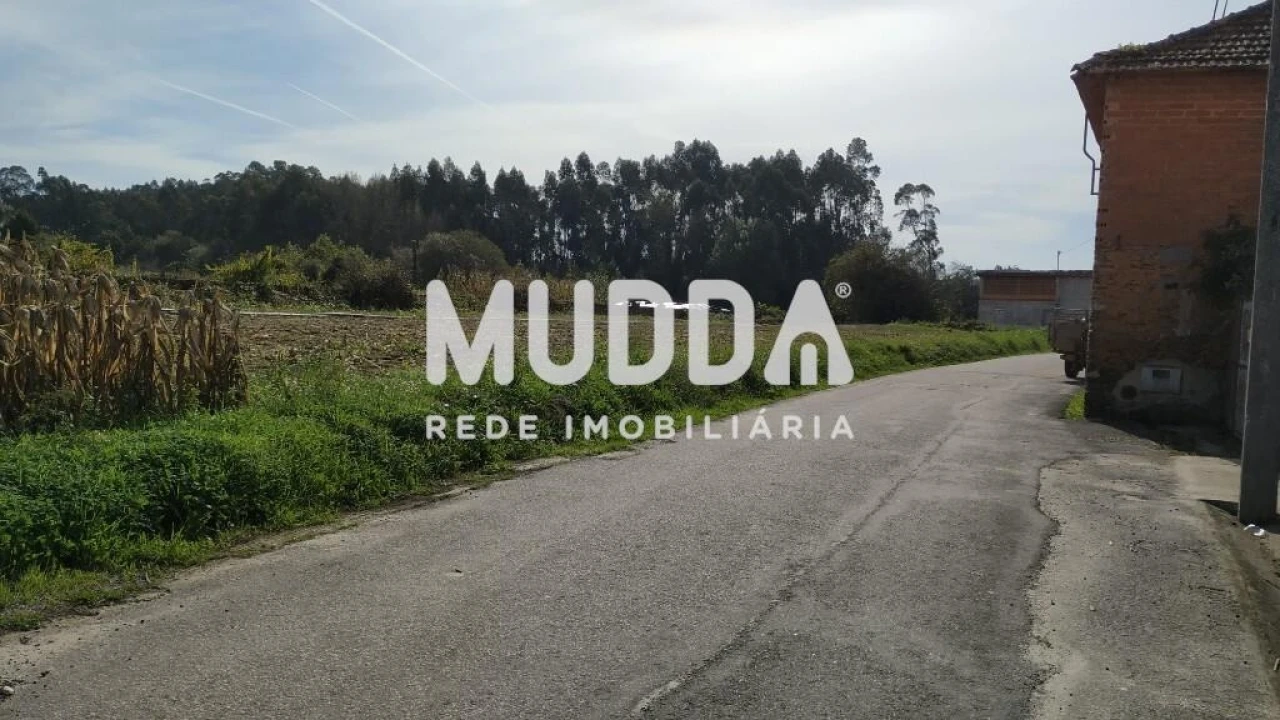 Terreno para Venda em Valega Foto 9
