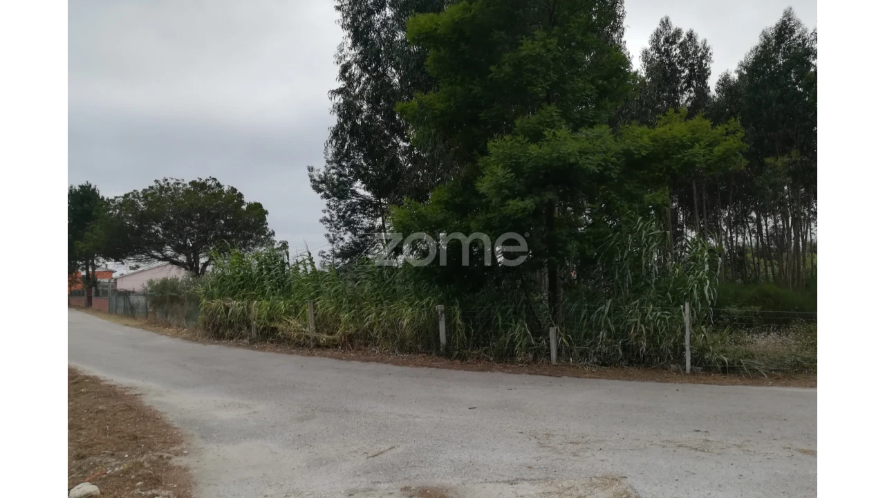 Terreno para Venda em Tocha Foto 5
