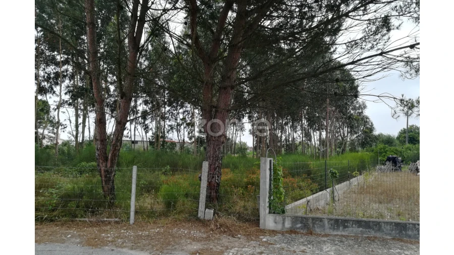 Terreno para Venda em Tocha Foto 2