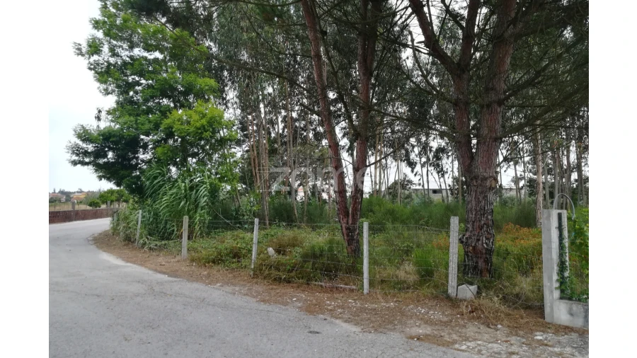 Terreno para Venda em Tocha Foto 1