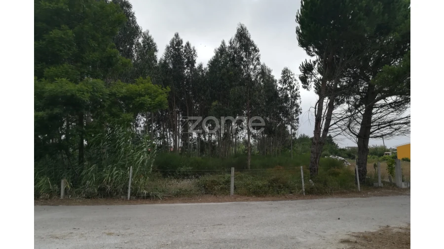 Terreno para Venda em Tocha Foto 3