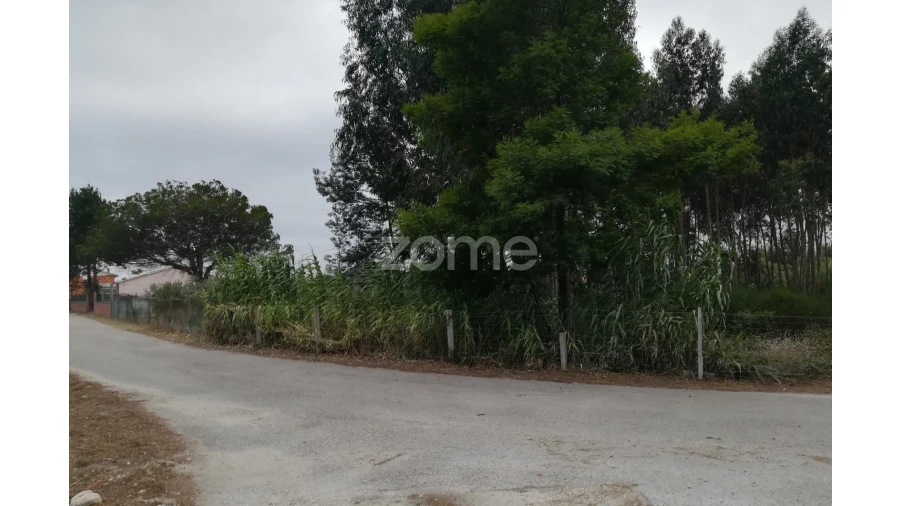 Terreno para Venda em Tocha Foto 4